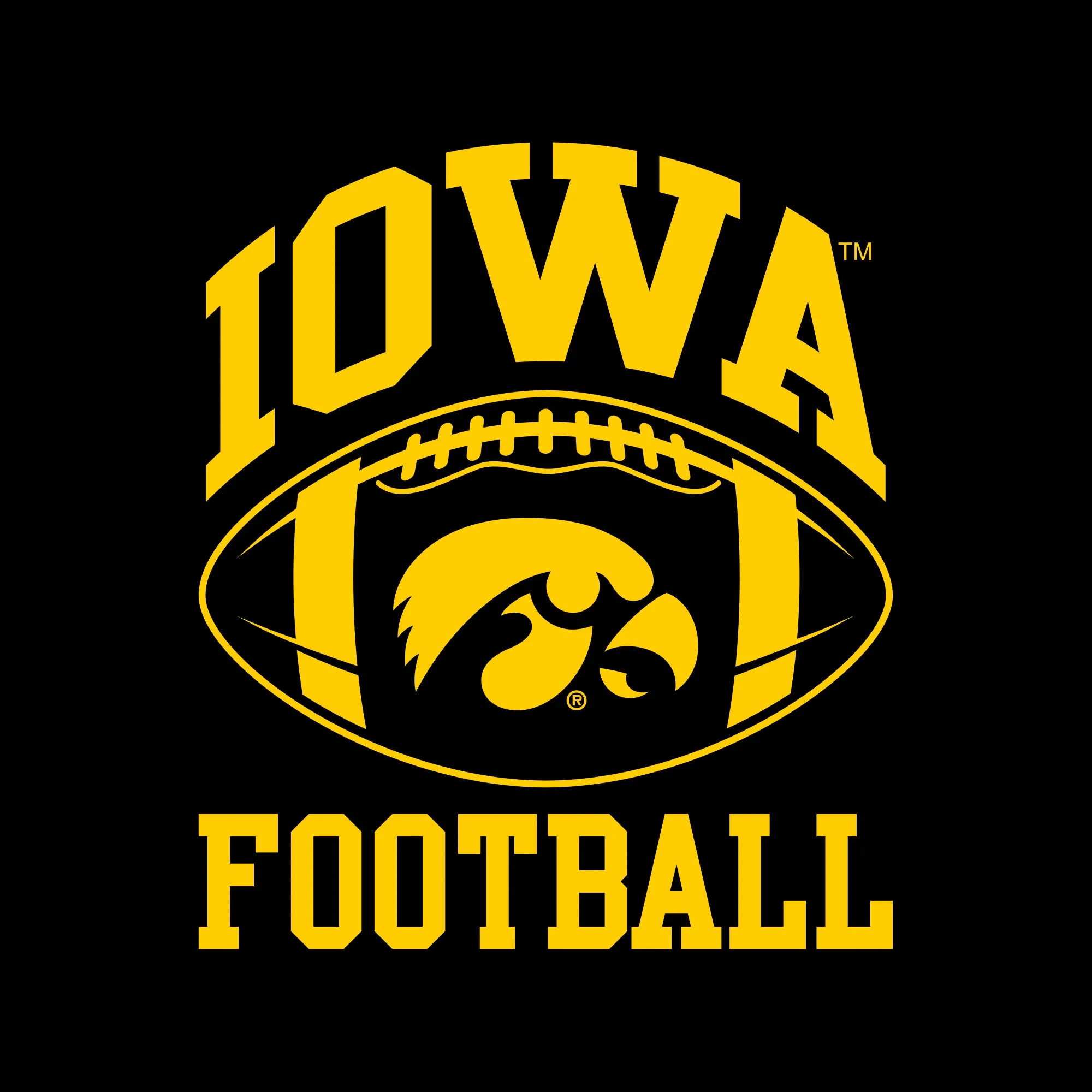 Classic Football Arch Left Chest Iowa Hawkeyes Heavy Blend Crewneck Sweatshirt - Black