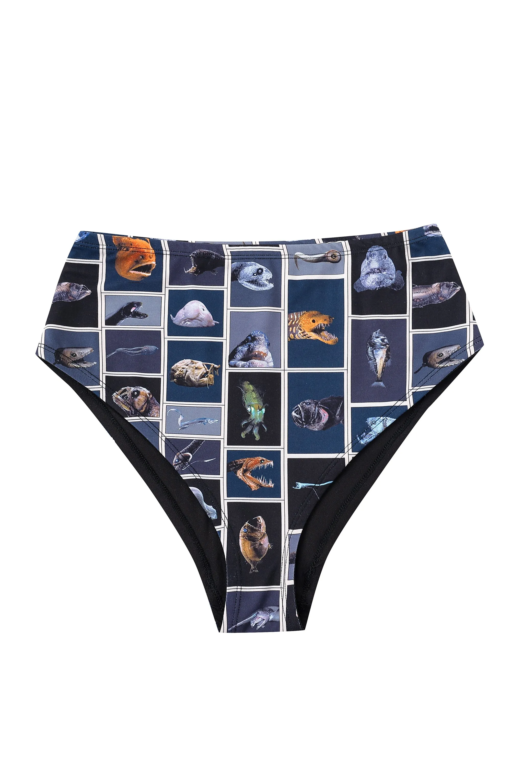 Cuter Fish High Waist Bikini Bottom