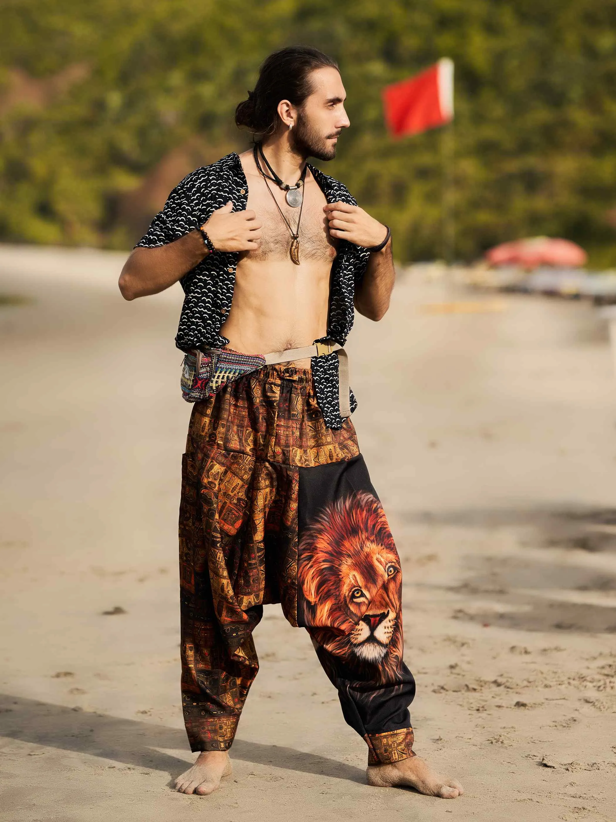 Men's Vintage Lion Print Balloon Aladdin Harem Pants For Travel