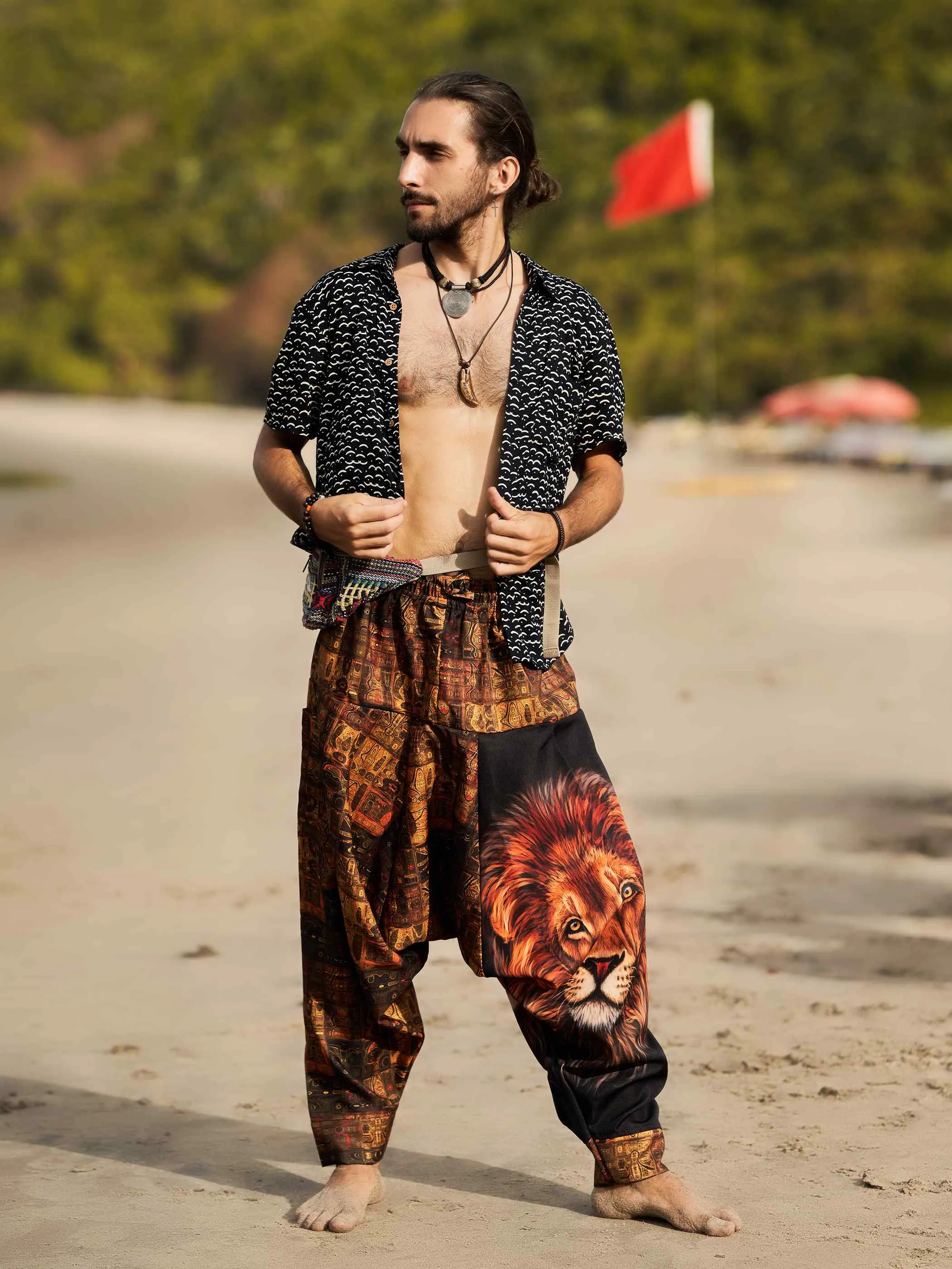 Men's Vintage Lion Print Balloon Aladdin Harem Pants For Travel